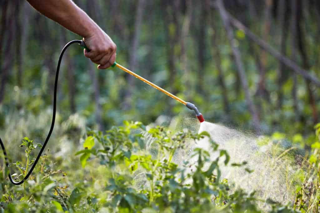Commercial Pest Control: Sydney’s Eco-Friendly Practices